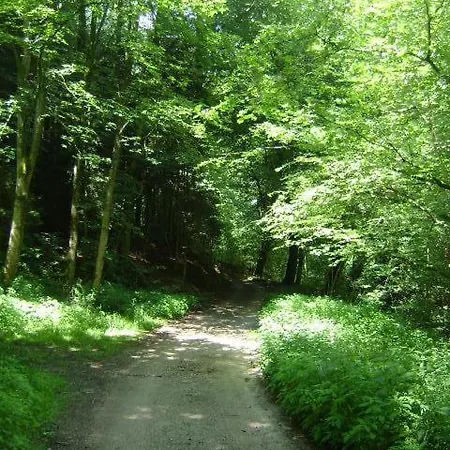 Bed & Breakfast Forbys Vejle